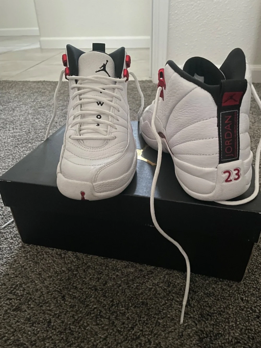 Air Jordan 12 Retro